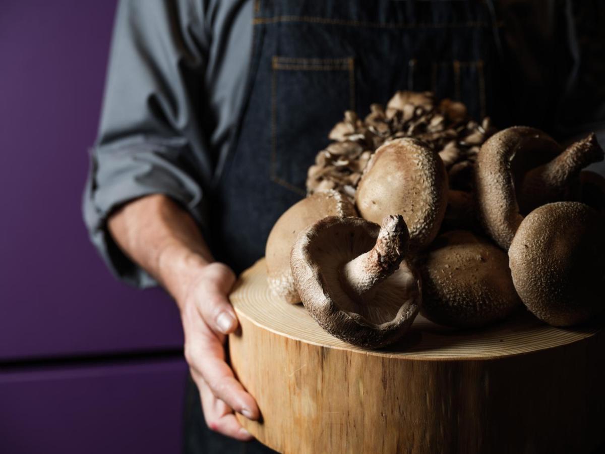 Hyatt Centric Kanazawa Exterior photo Shiitake mushrooms